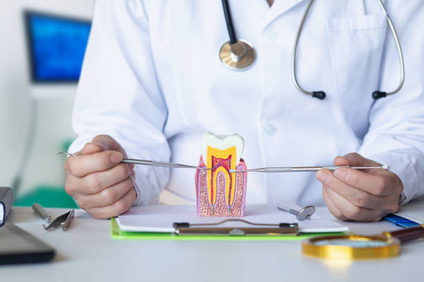 Best Emergency Gum Treatment in Grandview, MO